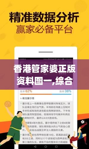 香港管家婆正版资料图一,综合解答解释定义_3K13.837