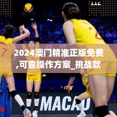 2024澳门精准正版免费,可靠操作方案_挑战款8.966