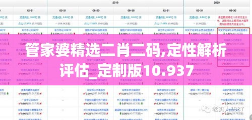管家婆精选二肖二码,定性解析评估_定制版10.937