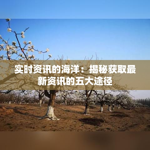 实时资讯的海洋：揭秘获取最新资讯的五大途径