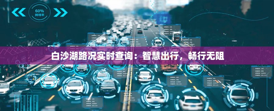 白沙湖路况实时查询：智慧出行，畅行无阻