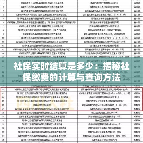 社保实时结算是多少：揭秘社保缴费的计算与查询方法