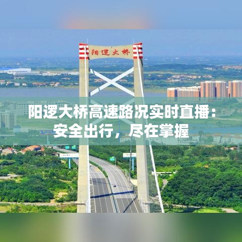 阳逻大桥高速路况实时直播：安全出行，尽在掌握