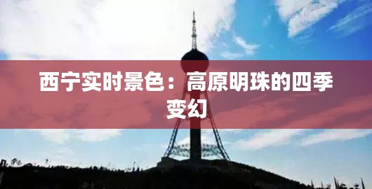 临危不惧 第3页