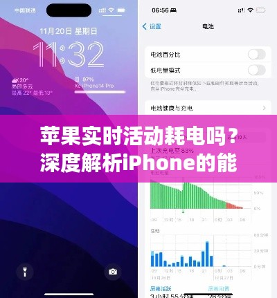 衣不兼采 第2页