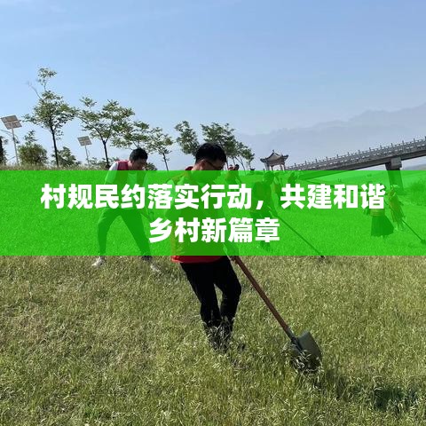 村规民约落实行动，共建和谐乡村新篇章