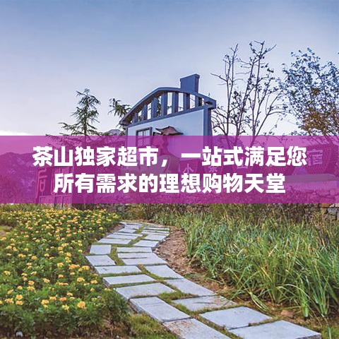囊萤映雪 第2页