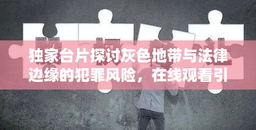 独家台片探讨灰色地带与法律边缘的犯罪风险，在线观看引深思