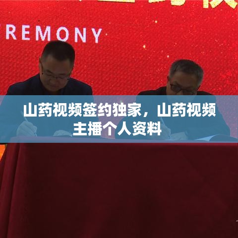 质而不俚 第2页