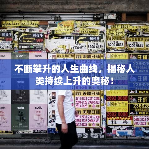 攀高结贵 第2页