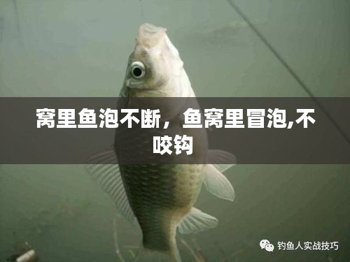 腾龙换鸟 第2页