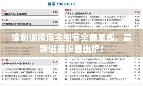 编制调整落实细节全面呈现，最新进展报告出炉！