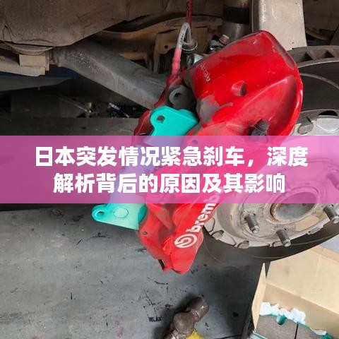 日本突发情况紧急刹车，深度解析背后的原因及其影响