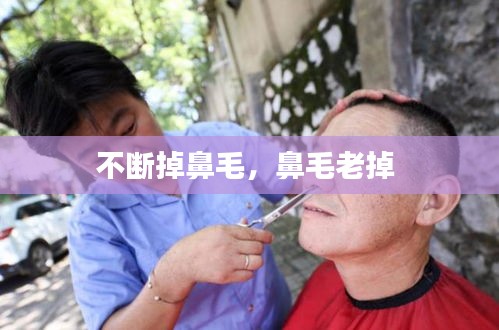 不断掉鼻毛，鼻毛老掉 