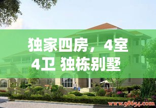 粗枝大叶 第2页