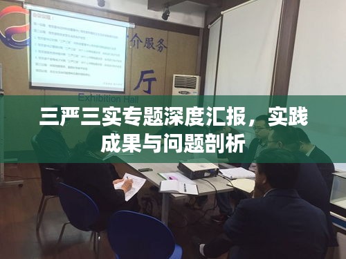 三严三实专题深度汇报，实践成果与问题剖析