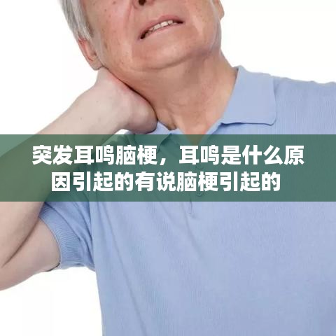 突发耳鸣脑梗，耳鸣是什么原因引起的有说脑梗引起的 