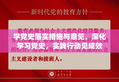 学党史落实措施与意见，深化学习党史，实践行动见成效