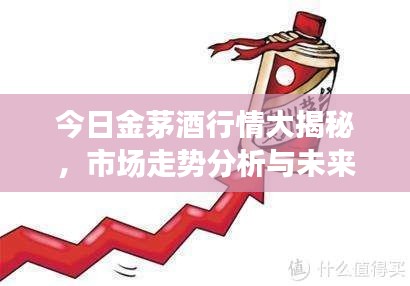 今日金茅酒行情大揭秘，市场走势分析与未来展望