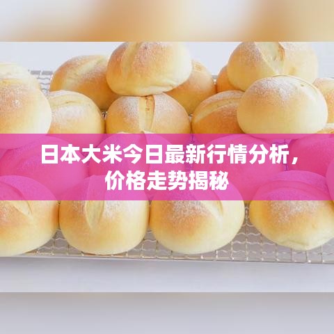 日本大米今日最新行情分析，价格走势揭秘