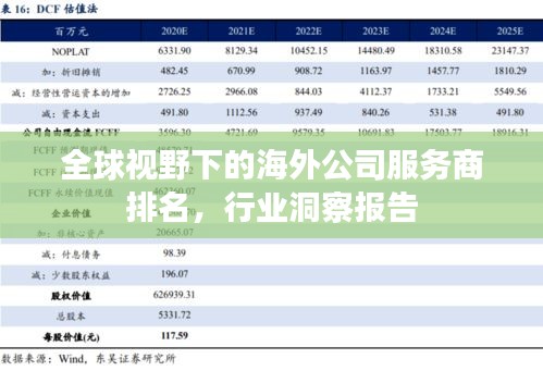 全球视野下的海外公司服务商排名，行业洞察报告