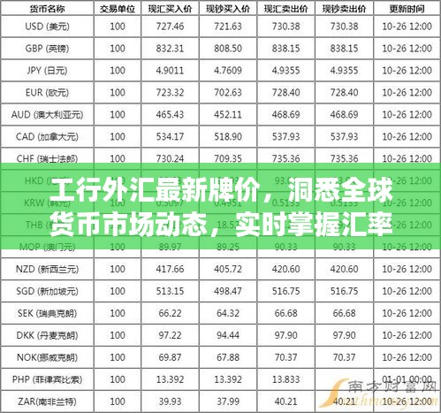 工行外汇最新牌价，洞悉全球货币市场动态，实时掌握汇率变化！