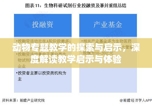 动物专题教学的探索与启示，深度解读教学启示与体验