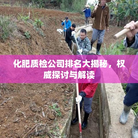 环肥燕瘦