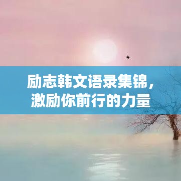 励志韩文语录集锦，激励你前行的力量