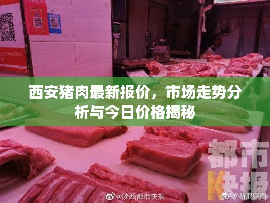 西安猪肉最新报价，市场走势分析与今日价格揭秘