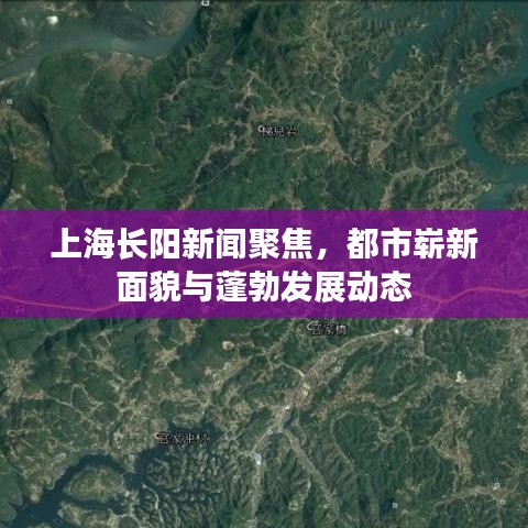 轻飞曼舞