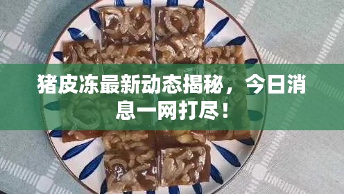 鸟吏鳖官