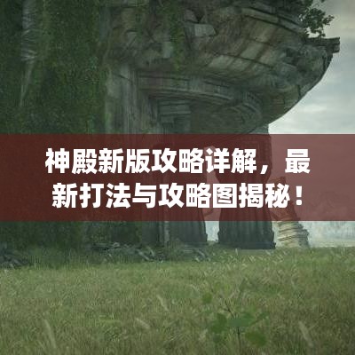 神殿新版攻略详解，最新打法与攻略图揭秘！