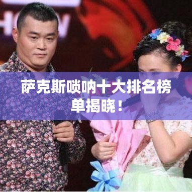 公司介绍 第12页