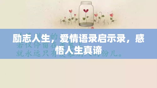 张张屈屈