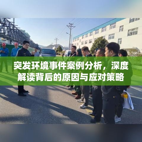没张倒置