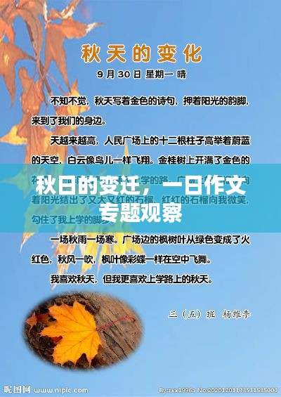 秋日的变迁，一日作文专题观察