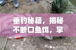 垂钓秘籍，揭秘不断口鱼饵，掌握垂钓秘密武器！